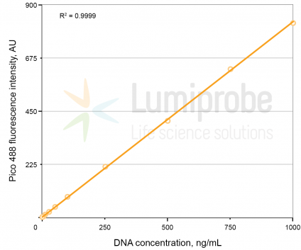 Pico488 dsDNA quantification reagent, 200x solution in DMSO