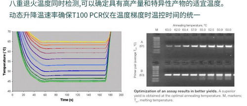 T100-美国Bio-rad伯乐进口T100 PCR仪基因扩增仪-基因扩增仪pcr