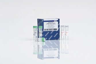 qiagen QuantiTect SYBR Green PCR Kit（1000*50ul）