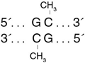 GpC 甲基转移酶（M.CviPI）--NEB酶试剂