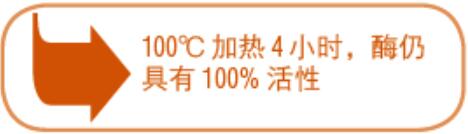 热稳定无机焦磷酸酶--NEB酶试剂