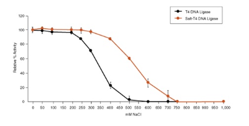 Salt-T4™ 耐盐 DNA 连接酶--NEB酶试剂
