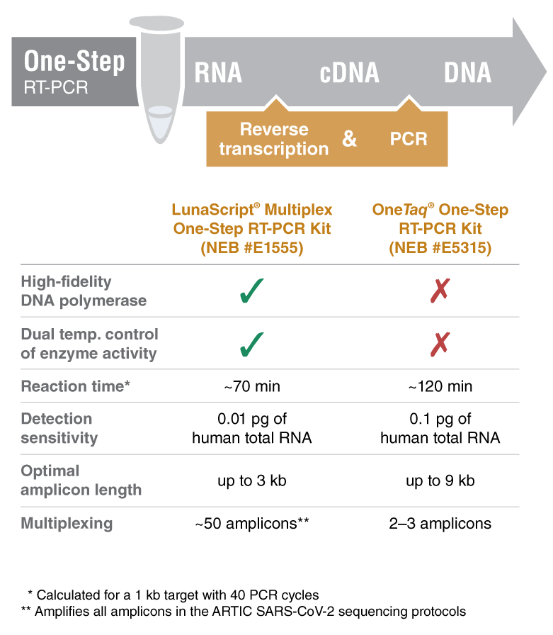 LunaScript® 一步法多重 RT-PCR 试剂盒--NEB酶试剂