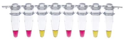 WarmStart® LAMP 变色预混液--NEB酶试剂