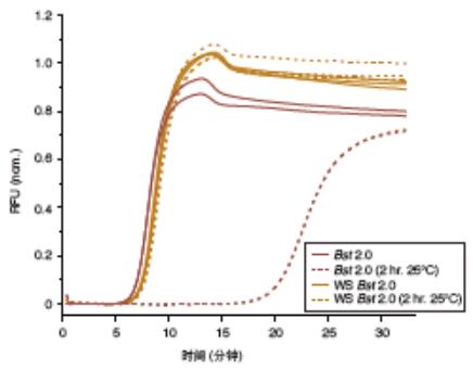 Bst2.0 WarmStart® DNA 聚合酶--NEB酶试剂