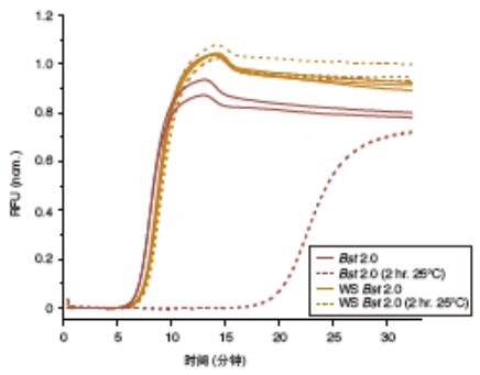 Bst 2.0 DNA 聚合酶--NEB酶试剂