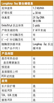 LongAmp® 热启动 Taq DNA 聚合酶--NEB酶试剂