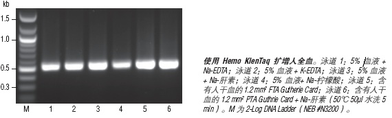 血源扩增 Hemo KlenTaq®--NEB酶试剂
