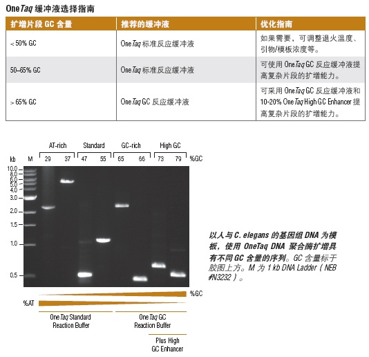 OneTaq Quick-Load 2X 预混液（提供 GC 缓冲液）--NEB酶试剂