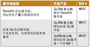 Taq DNA 聚合酶（提供 ThermoPol® 缓冲液）--NEB酶试剂