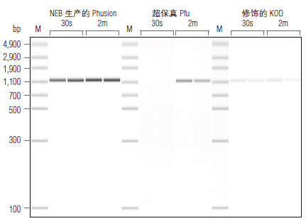 Phusion® 超保真 PCR 预混液( 提供 GC 缓冲液 )--NEB酶试剂