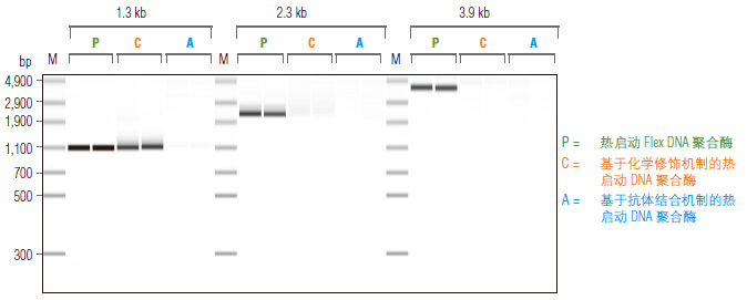 Phusion® 超保真 PCR 预混液( 提供 HF 缓冲液 )--NEB酶试剂