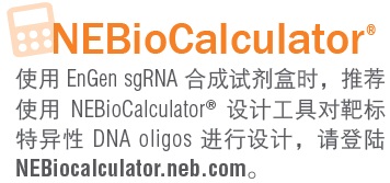 EnGen sgRNA 合成试剂盒，S. pyogenes--NEB酶试剂