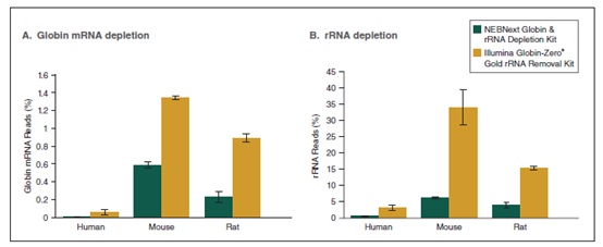 NEBNext Globin & rRNA 去除试剂盒（人/小鼠/大鼠）- 含 RNA 纯化磁珠--NEB酶试剂