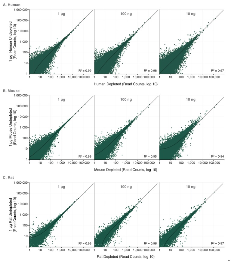 NEBNext® rRNA 去除试剂盒 v2（人/小鼠/大鼠）- 含 RNA 纯化磁珠--NEB酶试剂