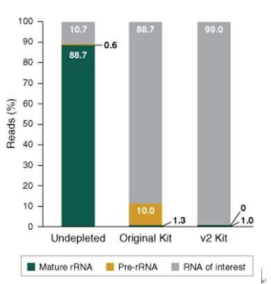 NEBNext® rRNA 去除试剂盒 v2（人/小鼠/大鼠）- 含 RNA 纯化磁珠--NEB酶试剂