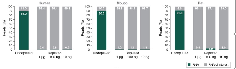 NEBNext® rRNA 去除试剂盒 v2（人/小鼠/大鼠）--NEB酶试剂
