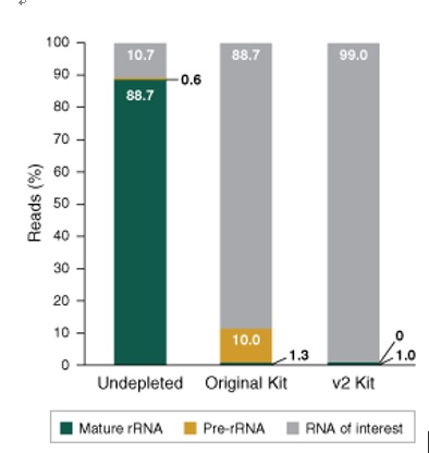 NEBNext® rRNA 去除试剂盒 v2（人/小鼠/大鼠）--NEB酶试剂