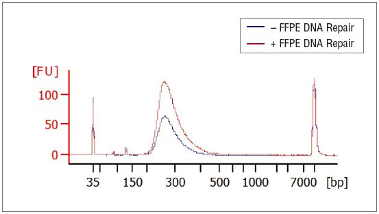 NEBNext FFPE DNA 修复混合液--NEB酶试剂