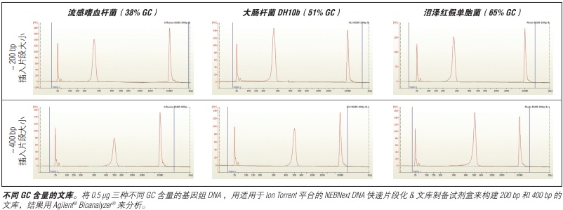 NEBNext DNA 快速片段化 & 文库制备试剂盒-Ion Torrent--NEB酶试剂