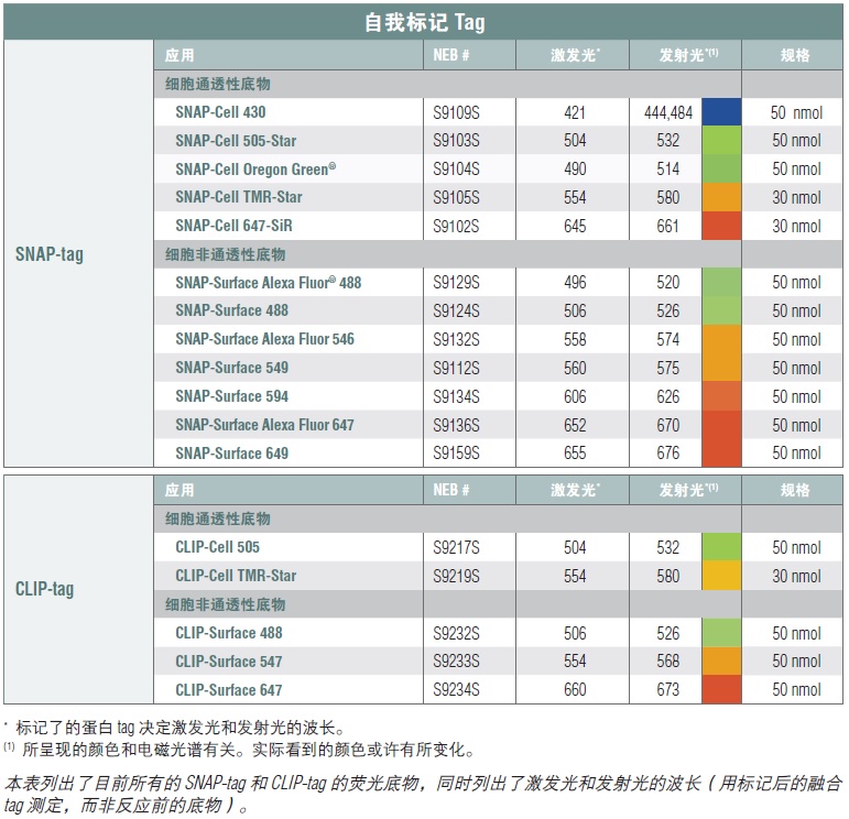 SNAP-Cell 505-Star--NEB酶试剂