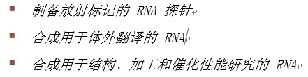 Hi-T7 耐热 RNA 聚合酶--NEB酶试剂