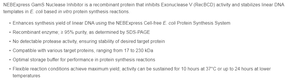 NEBExpress™GamS Nuclease Inhibitor--NEB酶试剂