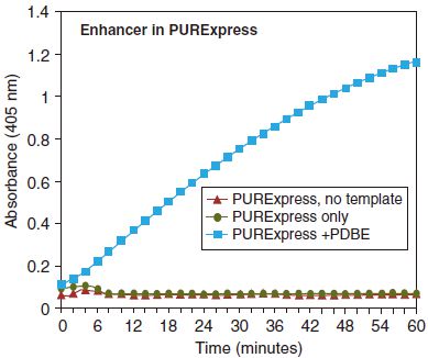 PURExpress 二硫键增强剂--NEB酶试剂