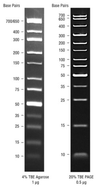 TriDyeTM 低分子量 DNA Ladder--NEB酶试剂