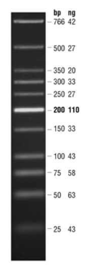 Quick-Load 紫色 低分子量 DNA Ladder--NEB酶试剂