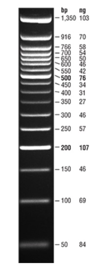 Quick-Load 紫色 50 bp DNA Ladder--NEB酶试剂