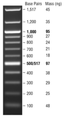 Quick-Load 紫色 100 bp DNA Ladder--NEB酶试剂