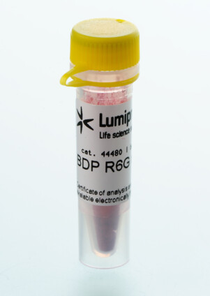 BDP R6G maleimide