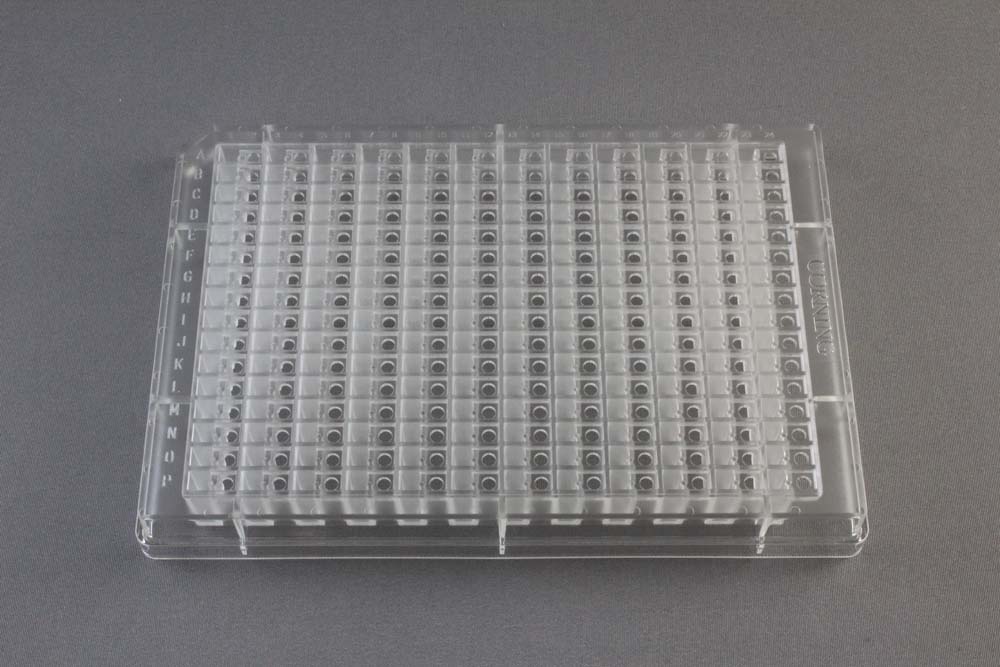 CrystalEX™ 384 Well, Flat Bottom Plate (Corning)