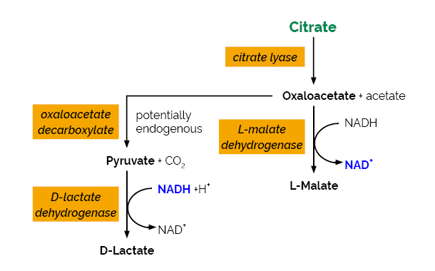 Citric Acid Assay Kit K-CITR