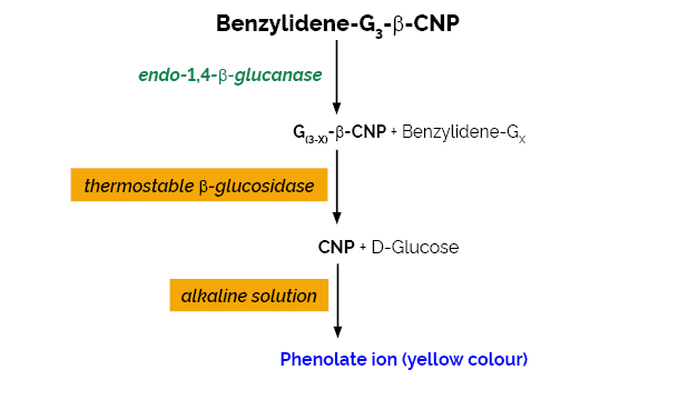 Cellulase Assay Kit CellG3 Method K-CellG3 CellG3