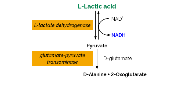 L-Lactic Acid L-Lactate Assay Kit K-LATE