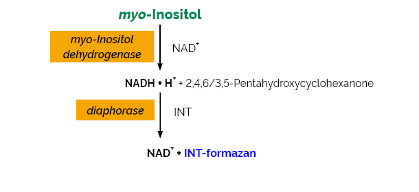 myo-Inositol Assay Kit K-INOSL INOSL
