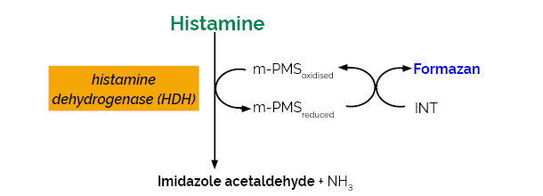 Histamine Assay Kit K-HISTA HISTA