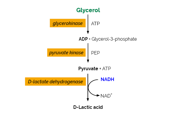 Glycerol Assay Kit K-GCROL