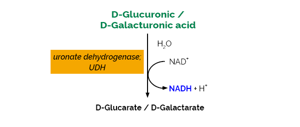 D-Glucuronic D-Galacturonic Acid Assay Kit K-URONIC URONIC