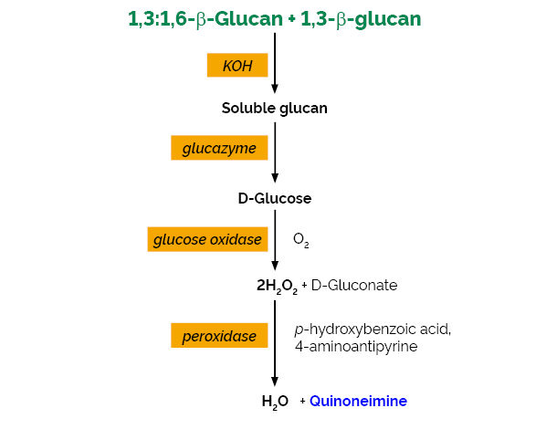 Enzymatic Yeast beta-Glucan Assay Kit K-EBHLG