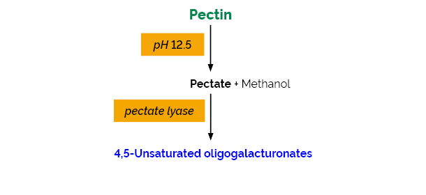 Pectin Identification Assay Kit K-PECID PECID
