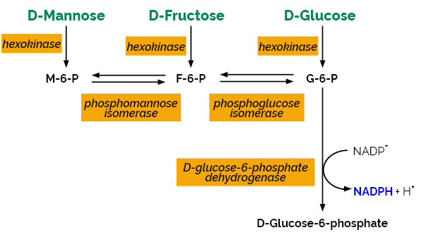D-Mannose D-Fructose D-Glucose Assay kit K-MANGL MANGL