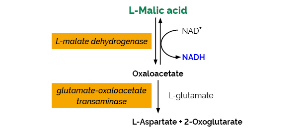 L-Malic Acid Assay Kit Liquid Ready K-LMALQR LMALQR