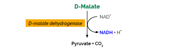 D-Malic Acid Assay Kit K-DMAL