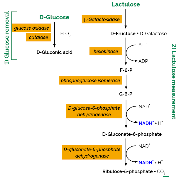 Lactulose Assay Kit K-LACTUL