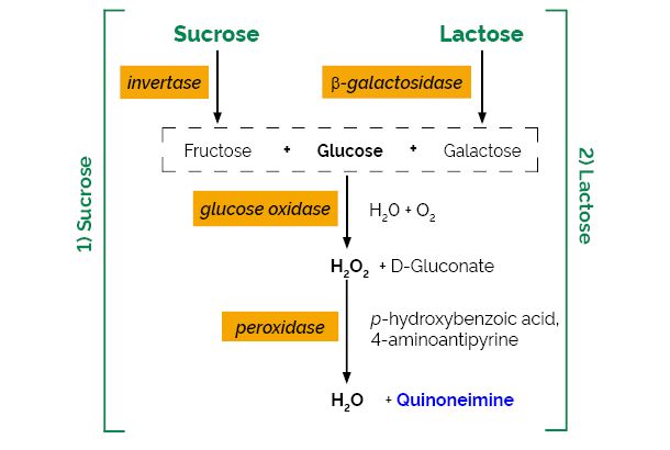 Lactose Sucrose D-Glucose Assay Kit K-LACSU LACSU