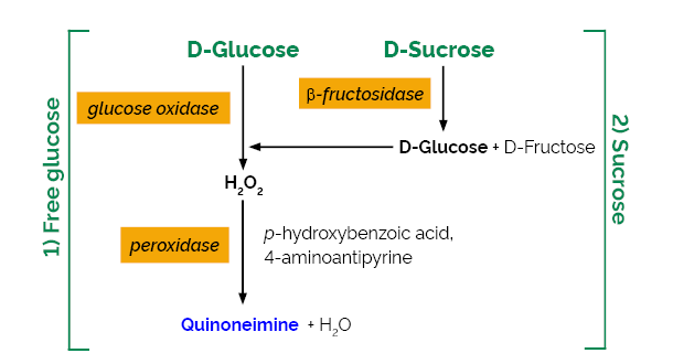 Sucrose D-Glucose Assay Kit K-SUCGL SUCGL