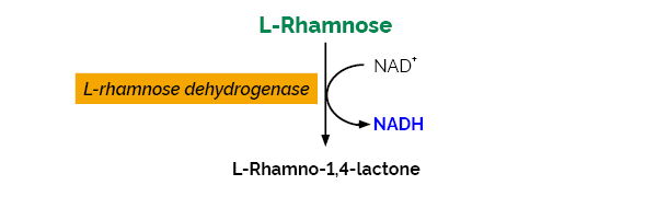 L-Rhamnose Assay Kit K-RHAMNOSE RHAMNOSE